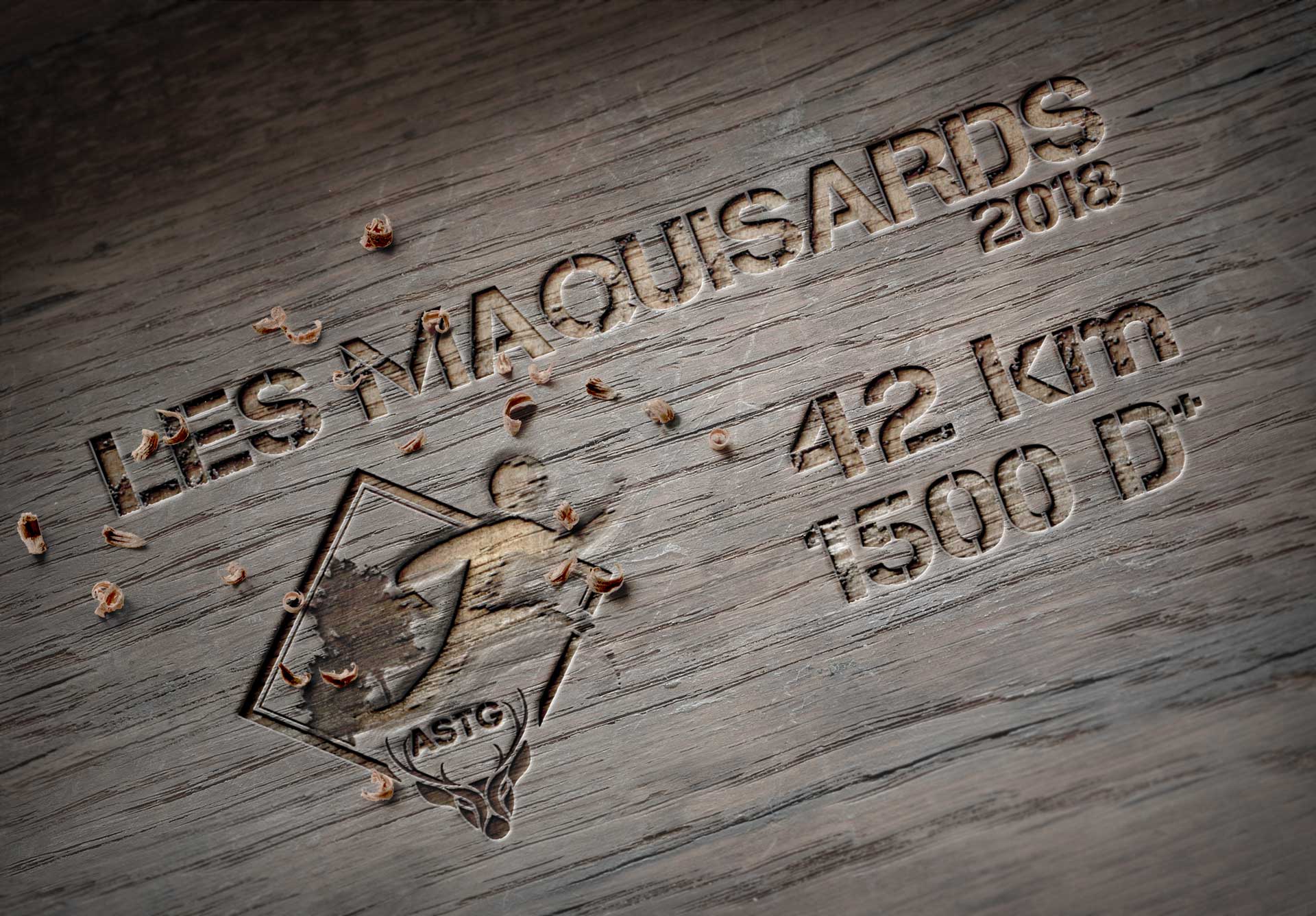 LES MAQUISARDS